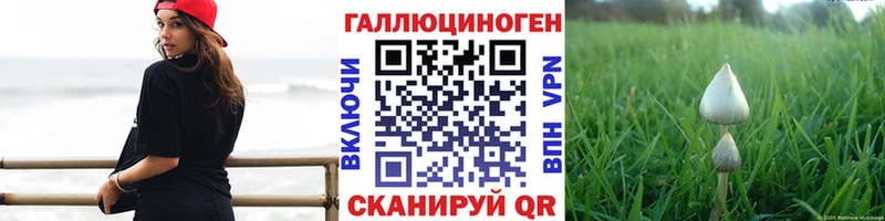 Псилоцибиновые грибы Cubensis  ссылка на мегу как войти  Черноголовка 